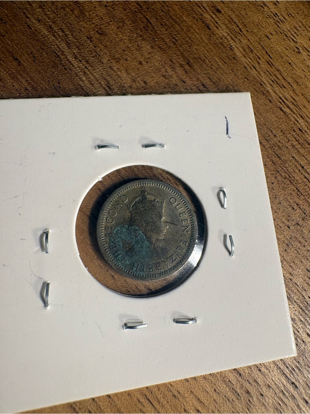 Vintage Queen Elizabeth Coin Display - White Holder